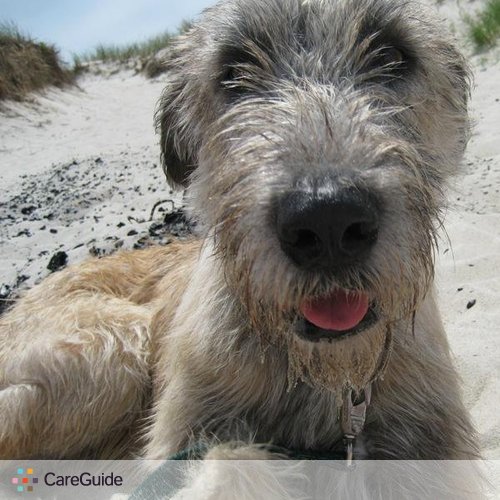 Pet Care Provider Jennifer Kreifels's Profile Picture