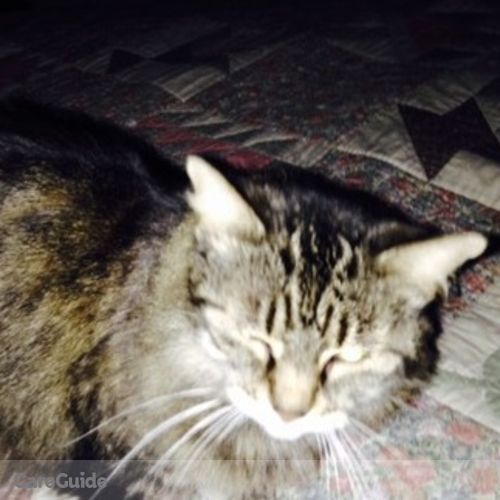 Pet Care Provider Bill Schimpf's Profile Picture