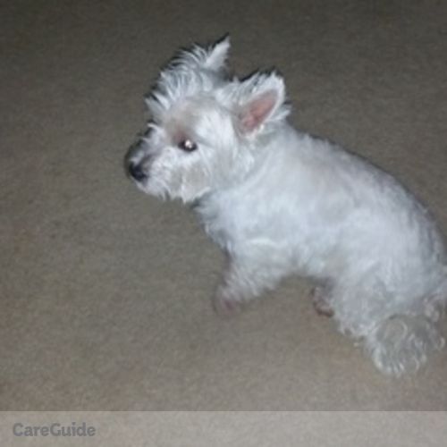 Pet Care Provider Judith Warsaw's Profile Picture