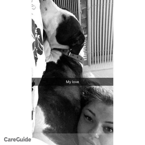 Pet Care Provider Akira Polk's Profile Picture