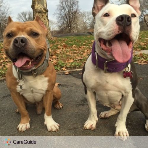 Pet Care Job Edwin Galeano's Profile Picture