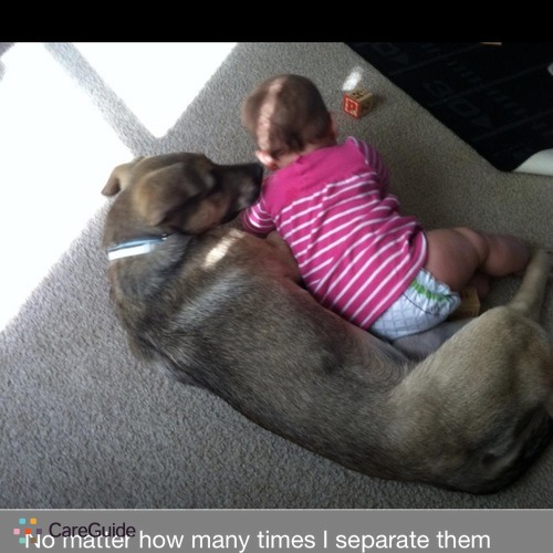 Pet Care Provider Irene Lewis's Profile Picture