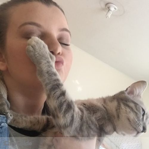 Pet Care Provider Taylor M's Profile Picture