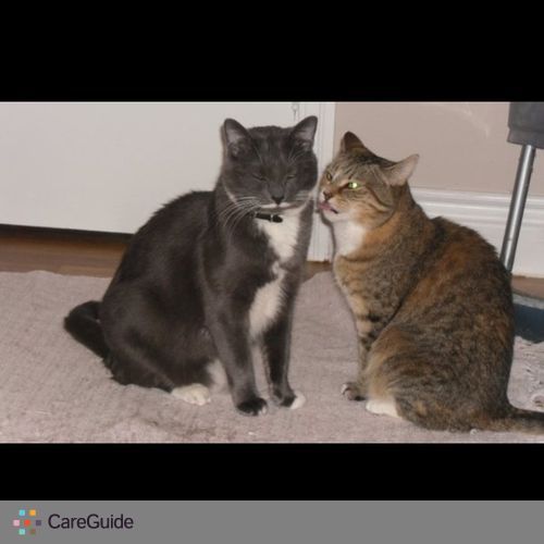 Pet Care Provider Tara Snow's Profile Picture
