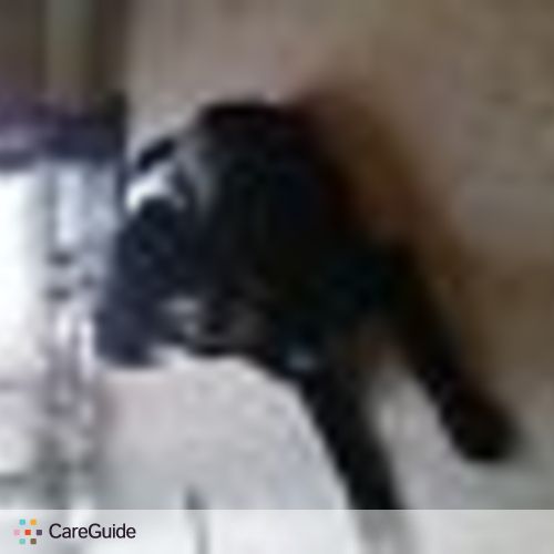 Pet Care Provider Nadean Scime's Profile Picture