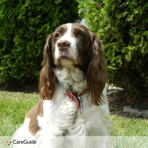 Pet Care Provider Connor Warde's Profile Picture