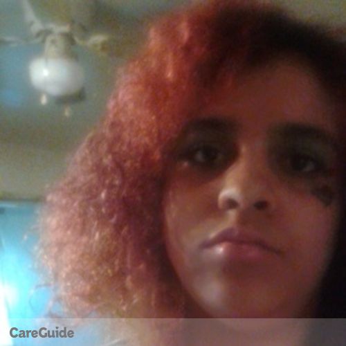 Pet Care Provider Amy Wilkins's Profile Picture