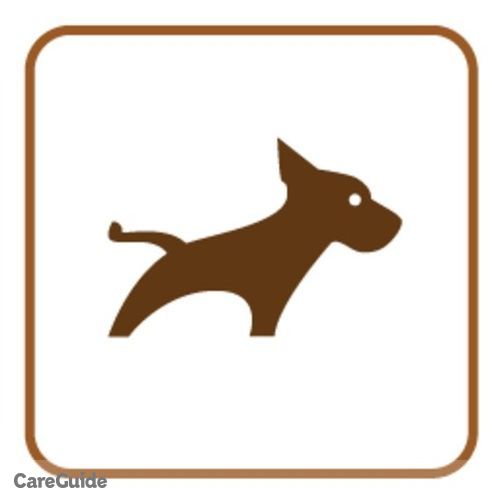 Pet Care Provider Timothy Kim's Profile Picture