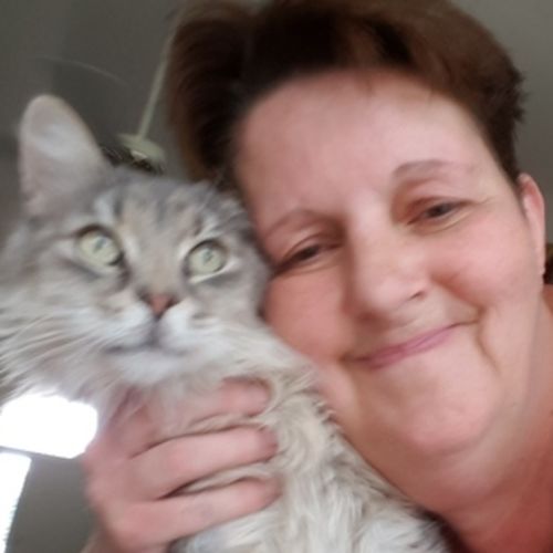 Pet Care Provider Sarah Jenkins's Profile Picture