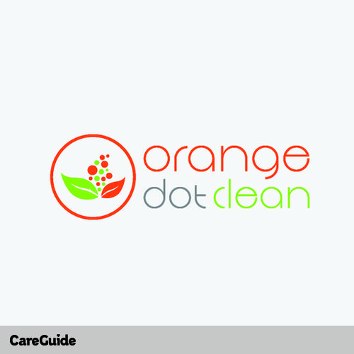 Housekeeper Provider Orange Dot Clean's Profile Picture