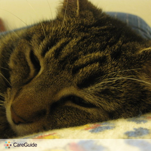Pet Care Job Kat Selm's Profile Picture