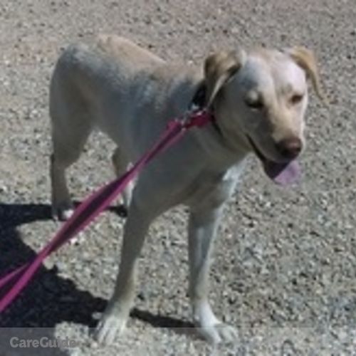 Pet Care Provider Colleen Murray's Profile Picture