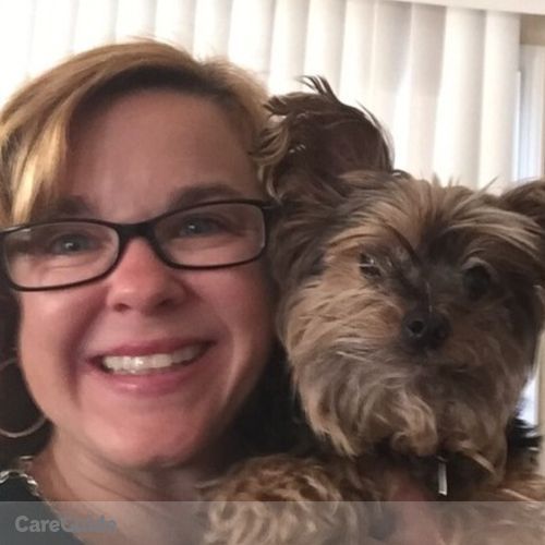 Pet Care Provider Aimee Valentine's Profile Picture