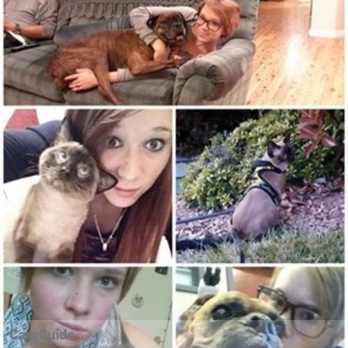 Pet Care Provider Ashley Bentsen's Profile Picture