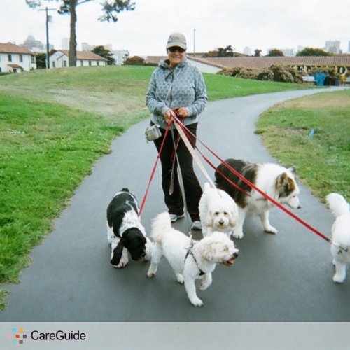 Pet Care Provider Gail Bechard's Profile Picture