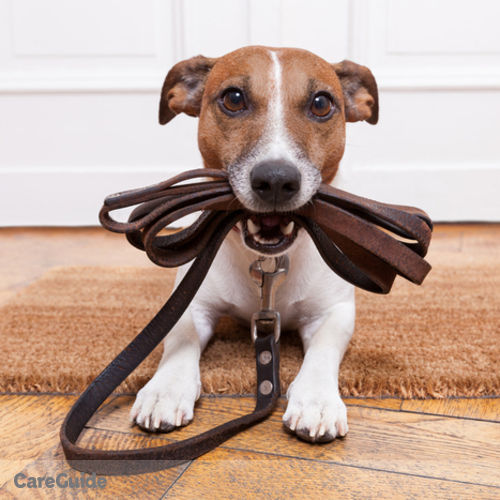 Pet Care Provider Mark Blotta's Profile Picture