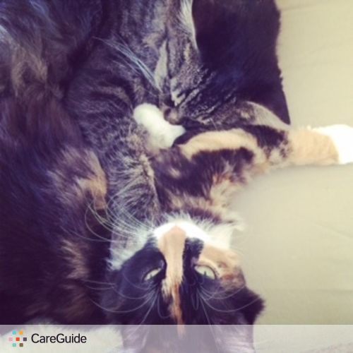 Pet Care Job Ghada Najjar's Profile Picture