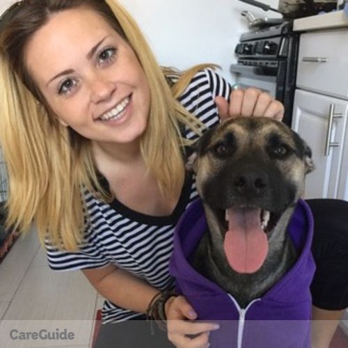 Pet Care Job Jordan Pack's Profile Picture