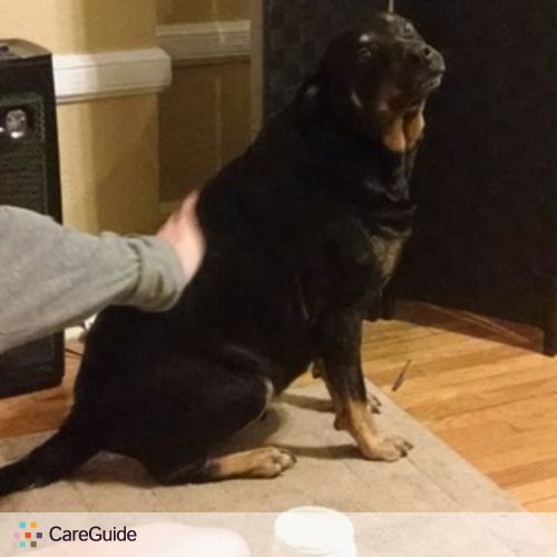 Pet Care Provider David Hill's Profile Picture