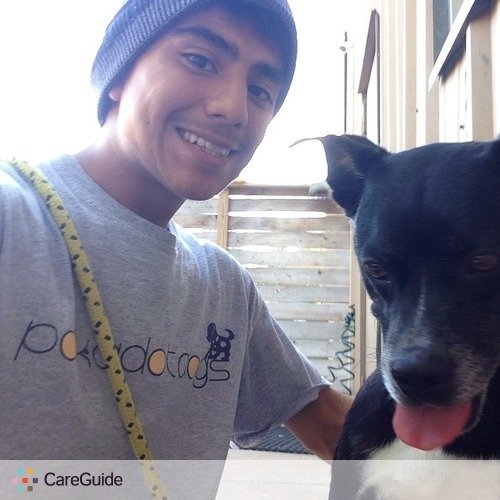 House Sitter Provider Daniel Hernandez's Profile Picture