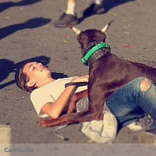 Pet Care Provider Robert Zelandi's Profile Picture