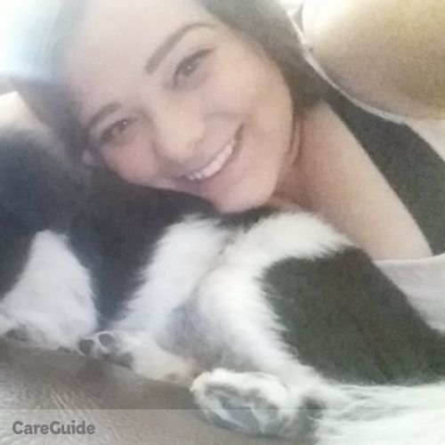 Pet Care Provider Stephanie Dolenga's Profile Picture