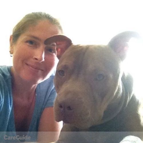 Pet Care Provider Sarah Folks's Profile Picture