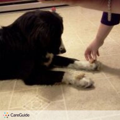 Pet Care Provider Sarah Edwards's Profile Picture