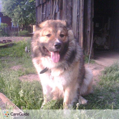 Pet Care Provider Natalya Z's Profile Picture