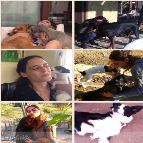 Pet Care Provider Maria Peillard's Profile Picture