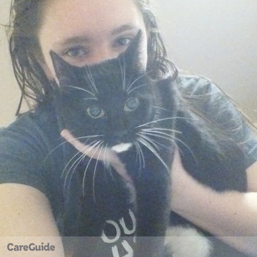 Pet Care Provider Matty Segrist's Profile Picture