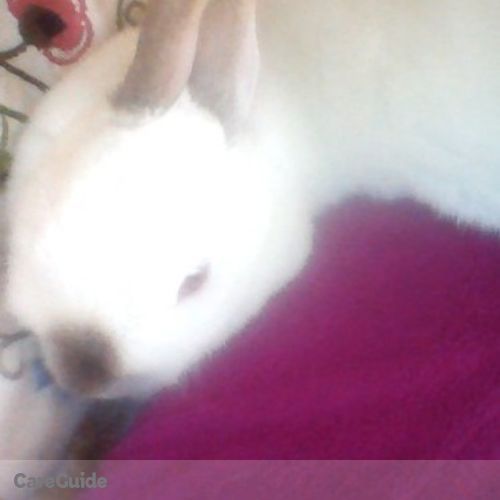 Pet Care Job Jennifer Douglas's Profile Picture
