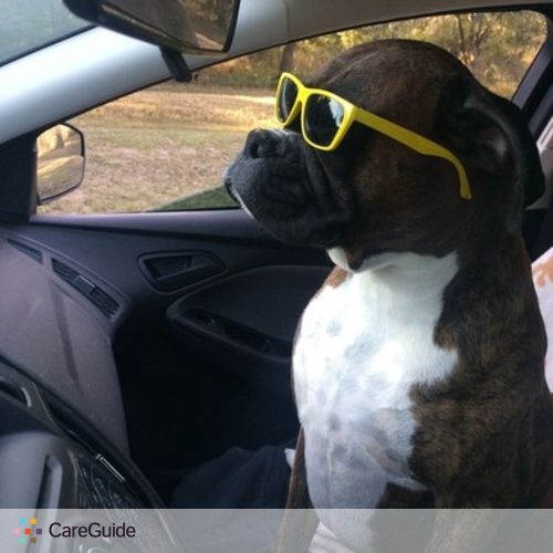 Pet Care Provider Ashley O'Donnell's Profile Picture