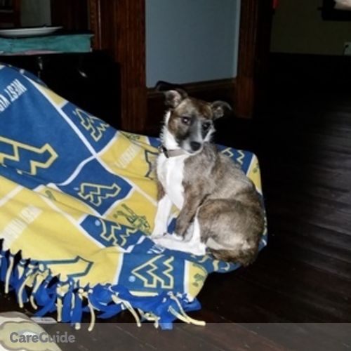 Pet Care Job Bethany Budd's Profile Picture