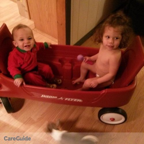 Pet Care Provider Jason Ramer's Profile Picture
