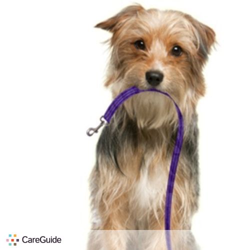 Pet Care Provider Tatiana Kashina's Profile Picture