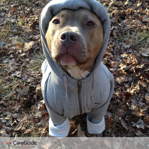Pet Care Provider bruce cooper's Profile Picture