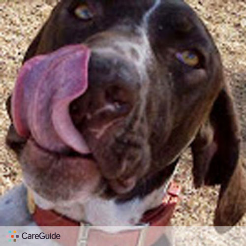Pet Care Job Julie C's Profile Picture