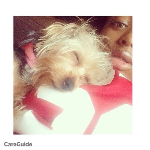 Pet Care Provider Treasure Brown's Profile Picture