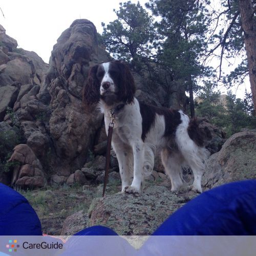 Pet Care Job Alison Deak's Profile Picture