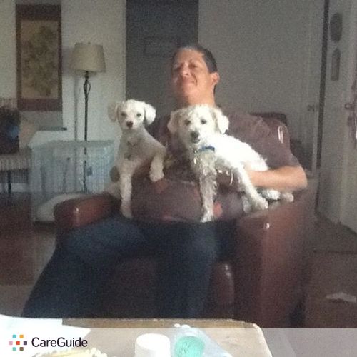 Pet Care Provider Michelle Teichner's Profile Picture