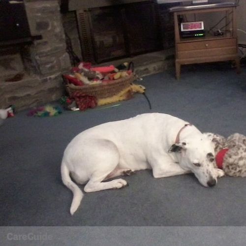 Pet Care Provider 's Profile Picture