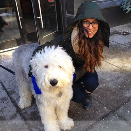Pet Care Provider Sukhi Singh's Profile Picture