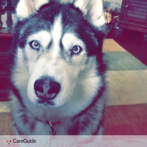 Pet Care Provider Mandy Hill's Profile Picture