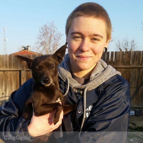 Pet Care Provider Sebastien Elliott's Profile Picture