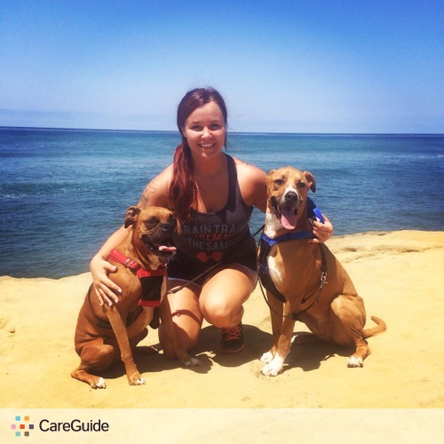 Pet Care Provider Natasha Voigts's Profile Picture