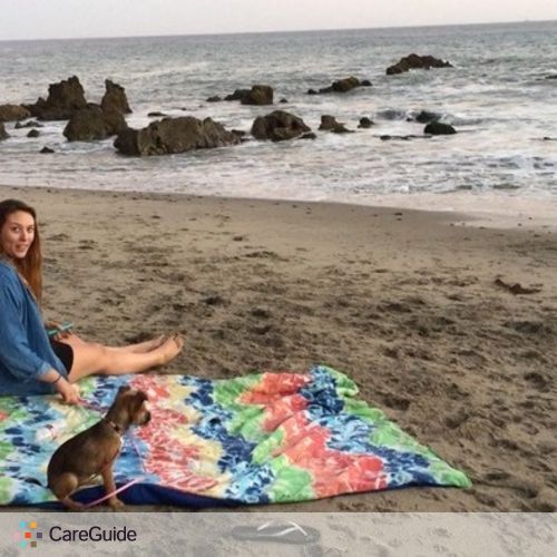 Pet Care Provider Lauren Carver's Profile Picture
