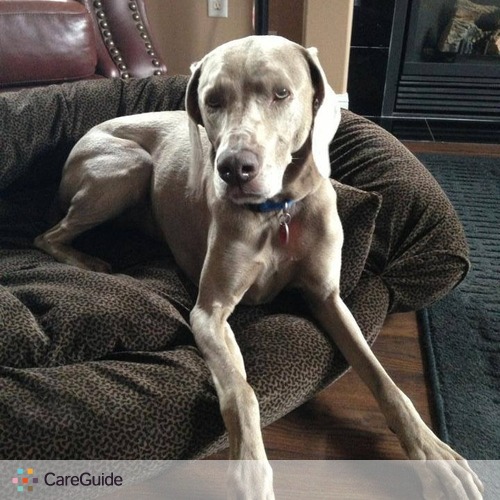 Pet Care Provider Martin Wiseberg's Profile Picture
