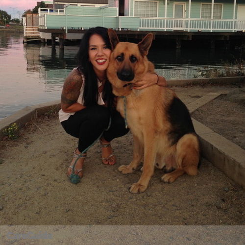 Pet Care Provider Jamie Larson's Profile Picture