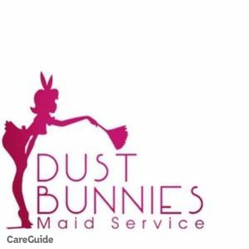 Housekeeper Provider The Dust Bunnies's Profile Picture